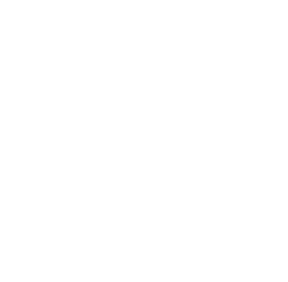 locals logo